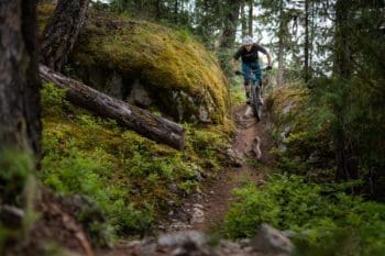Singletrack Tours