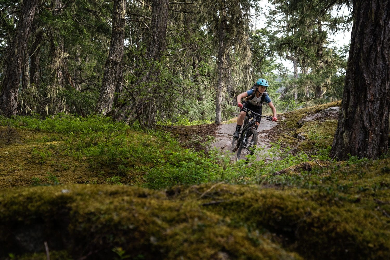 Whistler Singletrack Featured Image