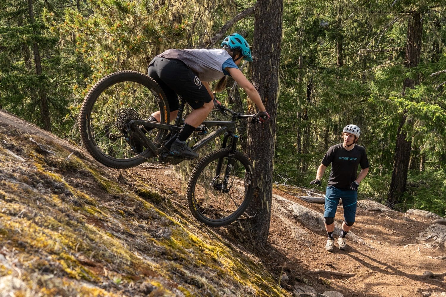 Whistler Trail Coaching