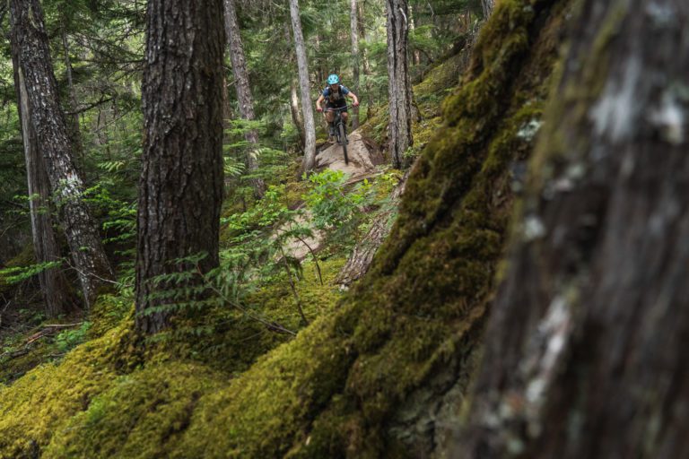 Riding into the greenroom of Whistler's forest. Ride granite slabs in the lush coastal rainforest