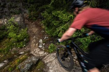 Singletrack riding.