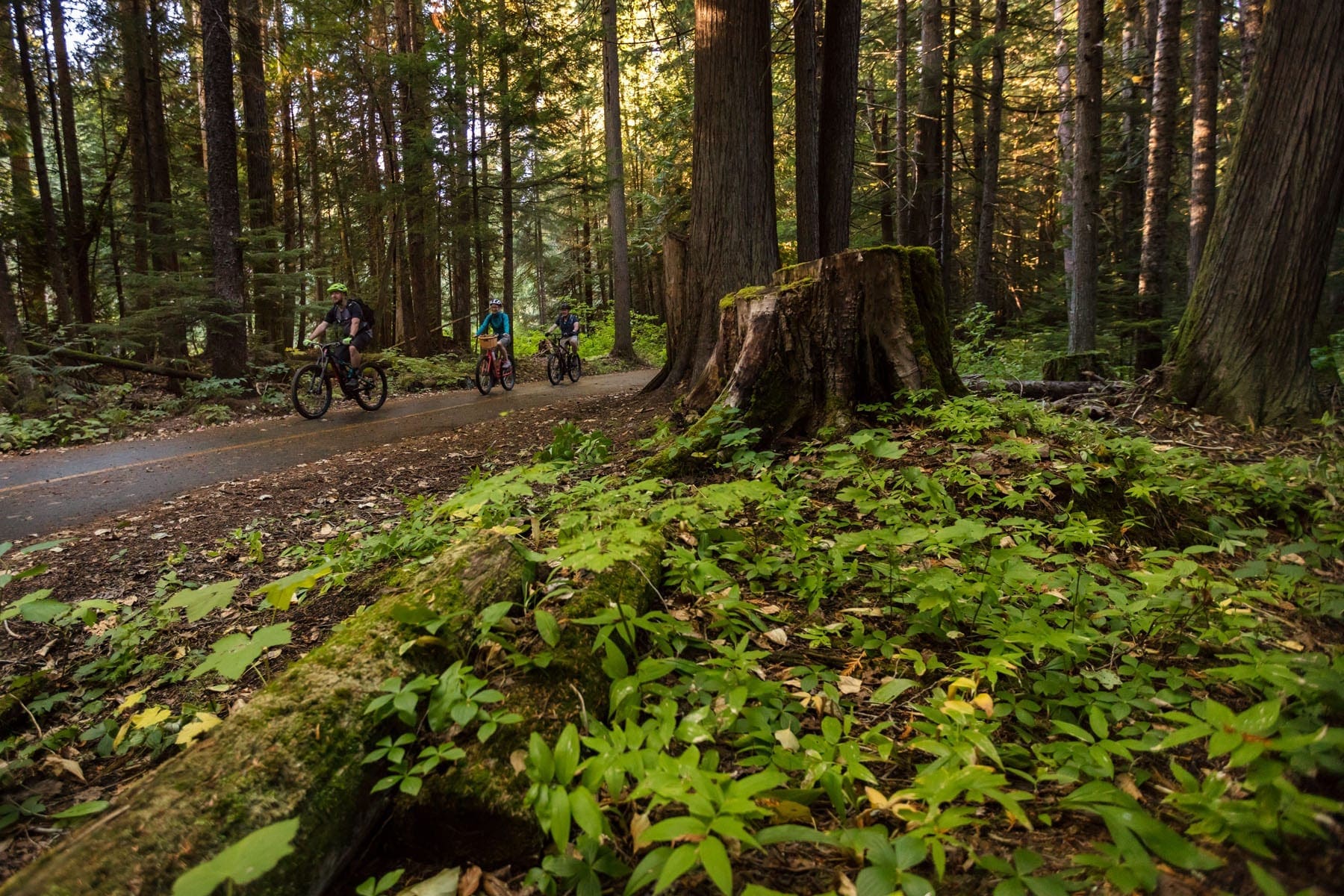 Biking Whistler Valley