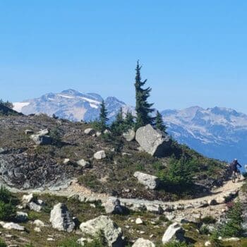 Whistler's alpine singletrack. Lord of the Squirrels 585382