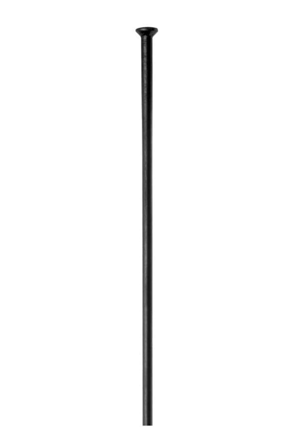 DT Swiss Champ 2.0 Spokes Straight-Pull