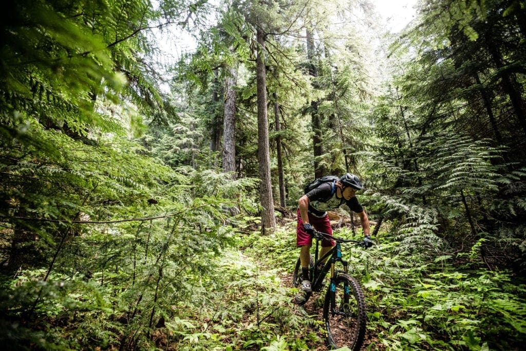 Ali riding Whistler Singletrack