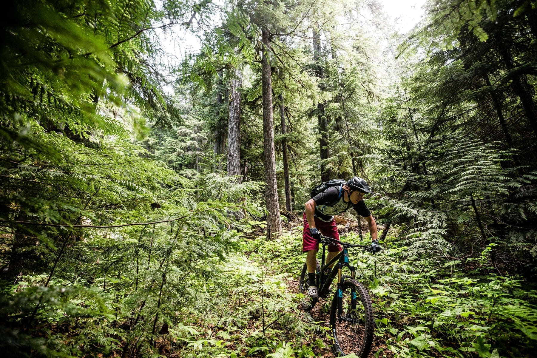 Alastair riding on Blackcomb Mountain in Whistler BC