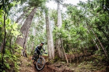 Sea to Sky Multi-Day MTB Tour - Gallery Image 3 Whistler singletrack