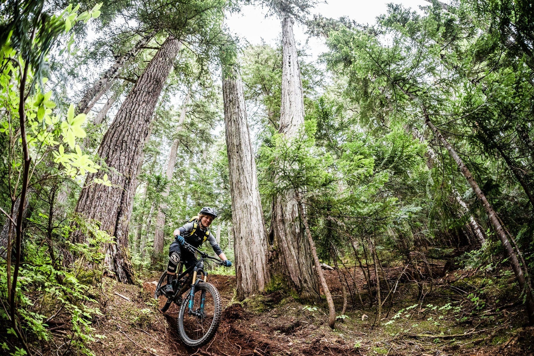 Whistler singletrack