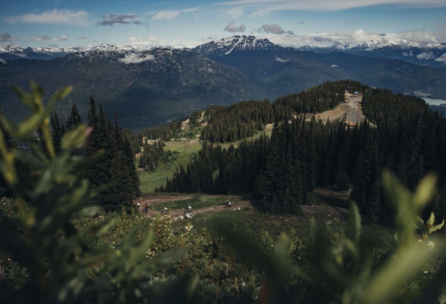 Whistler Bike Park Tours