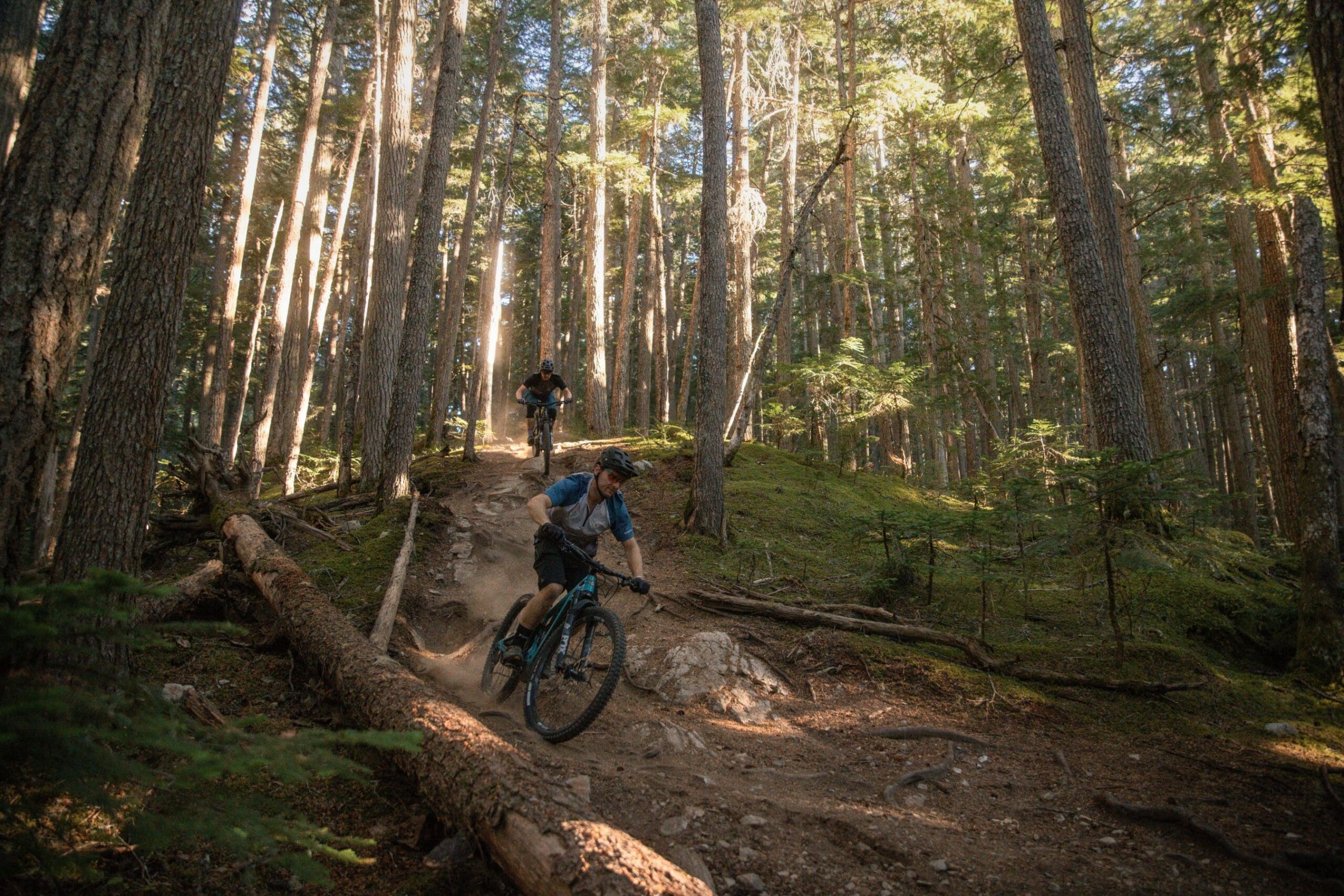 The Total Singletrack Experience Featured Image