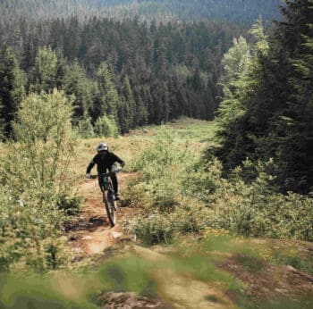 Whistler bike park