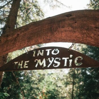 Into the Mystic gateway to the Lord of the Squirrels bike trail in Whistler 585389