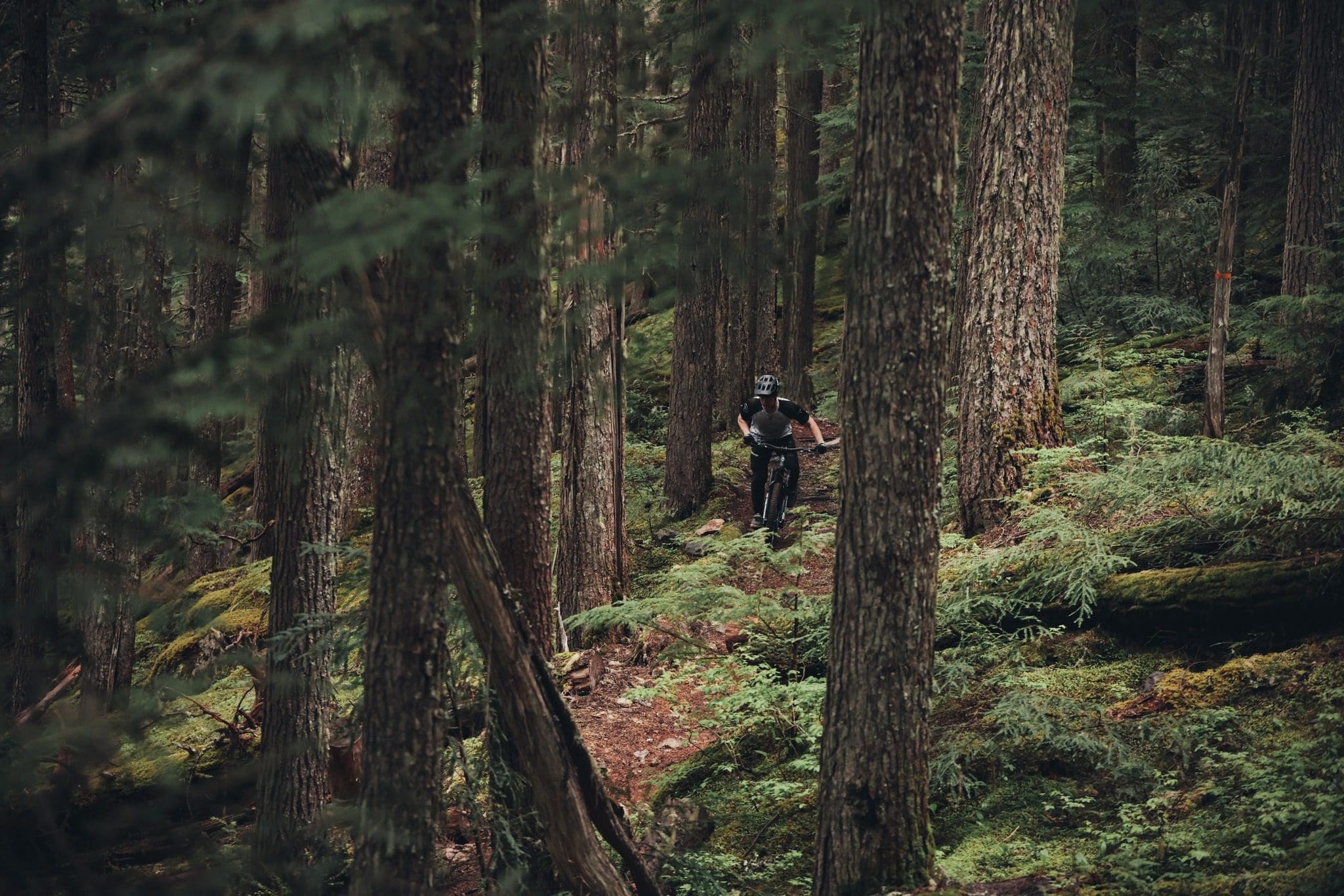 Riding the Blackcomb trails on e-bikes.