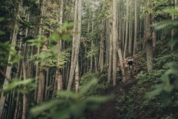Whistler Bike Park